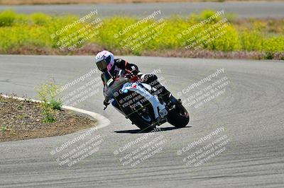 media/May-10-2024-2WTD (Fri) [[c88d7990af]]/Group B/Session 3-Turn 4 and 6/